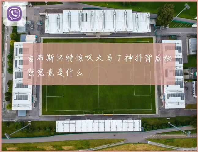 吉布斯怀特惊叹大马丁神扑背后秘密究竟是什么